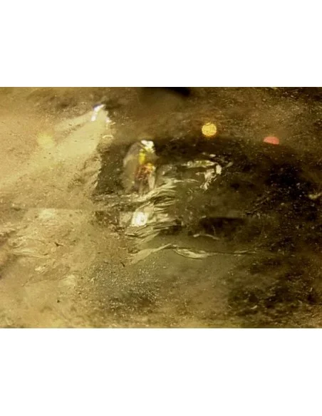 Quartz Isis Quartz Isis