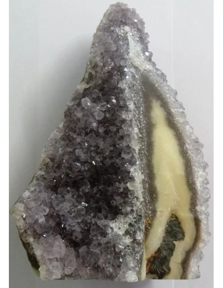 Amethyste cactus  Amethyste cactus