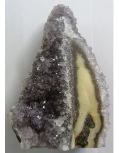Amethyste cactus  2