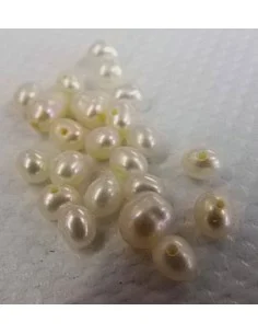 Perle blanche ovale 2