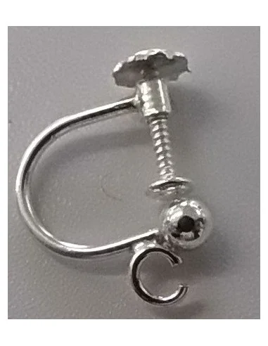 Boucles d'oreilles visse aprêts argent