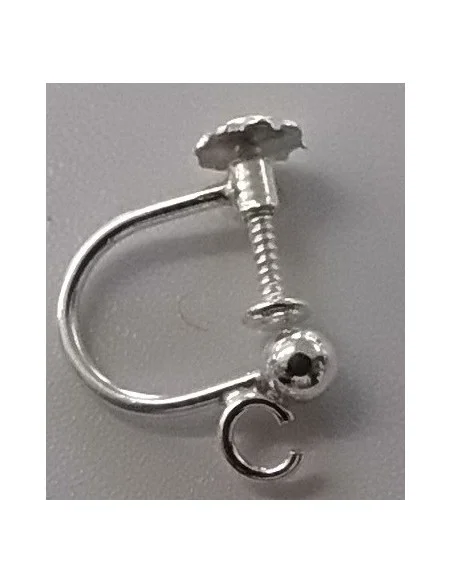 Boucles d'oreilles visse aprêts argent