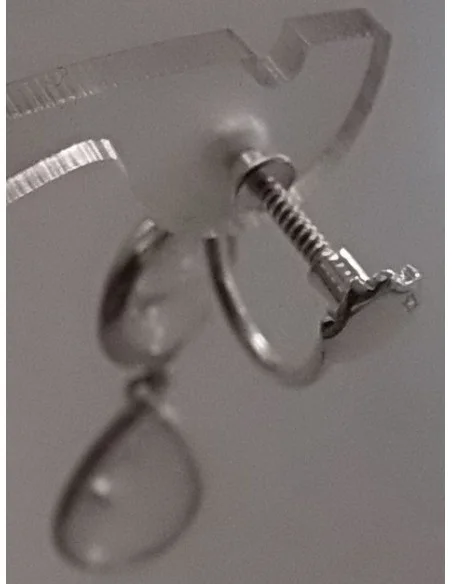 Boucles d'oreilles visse aprêts argent