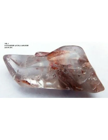 Amphibole angel pointe nouvelle arrivage!