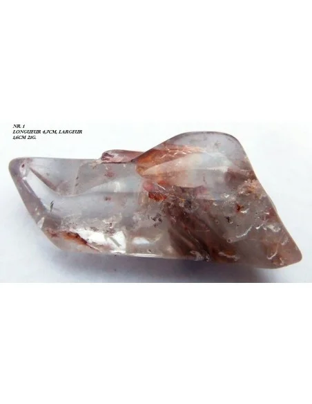 Amphibole angel pointe nouvelle arrivage!