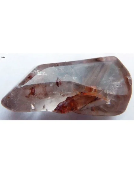 Amphibole angel pointe nouvelle arrivage!