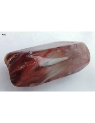 Amphibole angel pointe nouvelle arrivage!