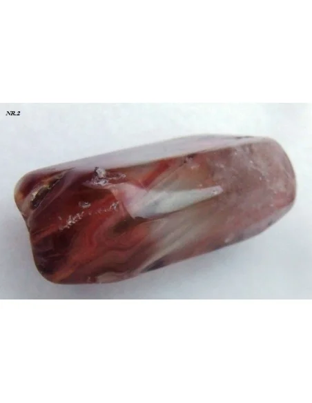 Amphibole angel pointe nouvelle arrivage!