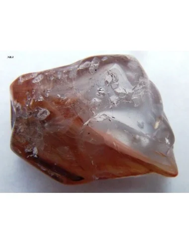 Amphibole angel pointe nouvelle arrivage!