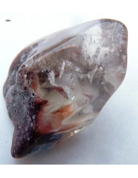 Amphibole angel pointe nouvelle arrivage!