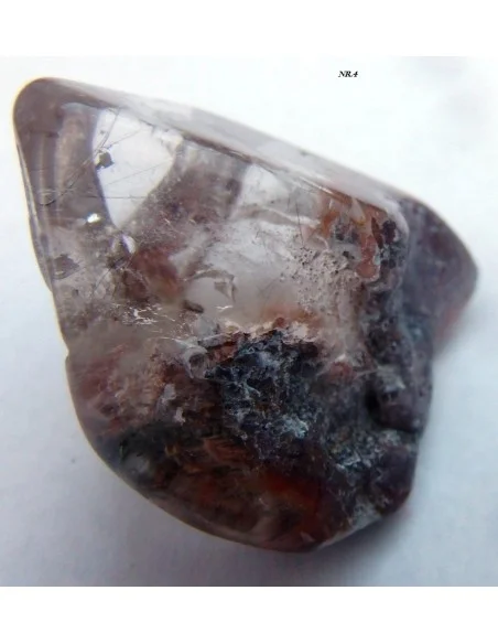 Amphibole angel pointe nouvelle arrivage!