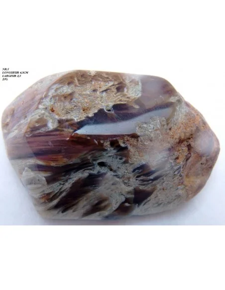 Amphibole angel pointe nouvelle arrivage!