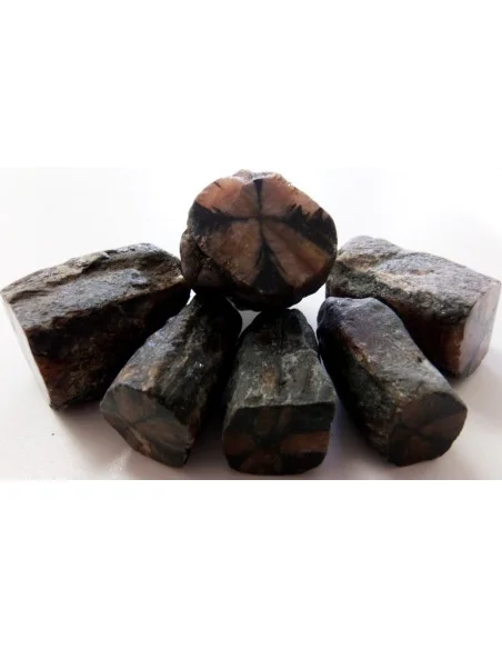 Chiastolite, andalosite brute