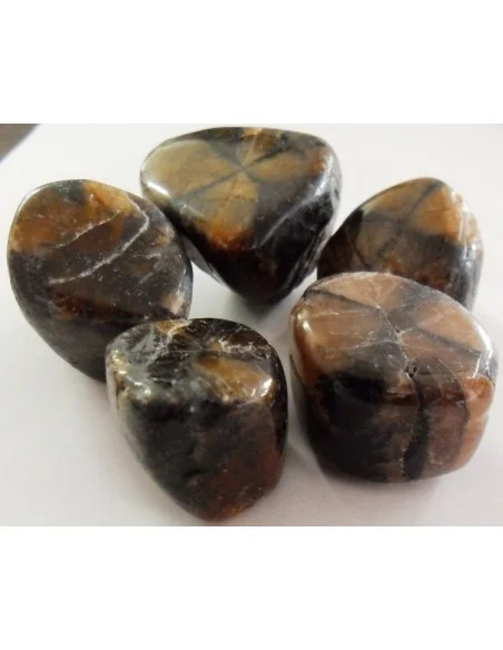 Chiastolite, andalosite polis Chiastolite, andalosite polis