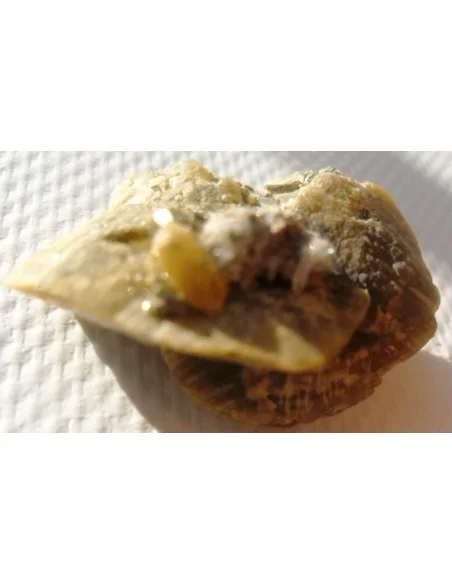 Pyrite soleil Pyrite soleil