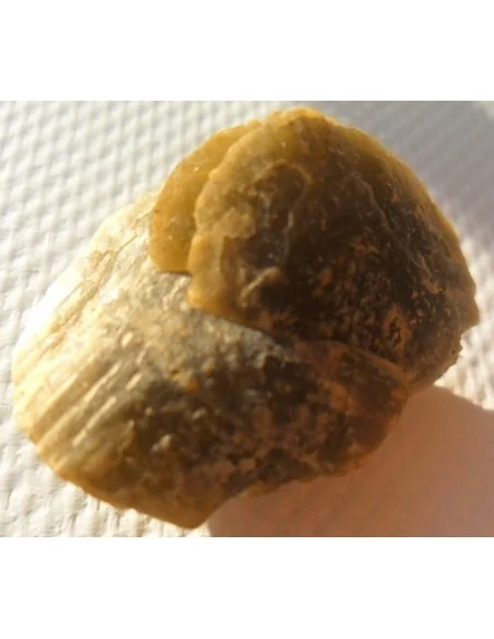 Pyrite soleil Pyrite soleil