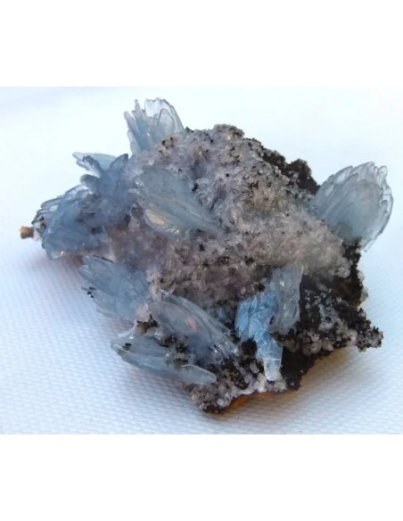 Barytine gemme sur limonite brune  Barytine gemme sur limonite brune