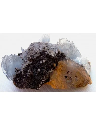 Barytine gemme sur limonite brune