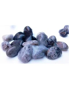 Agate dendritique polis 2