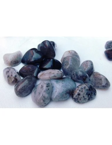 Agate dendritique polis