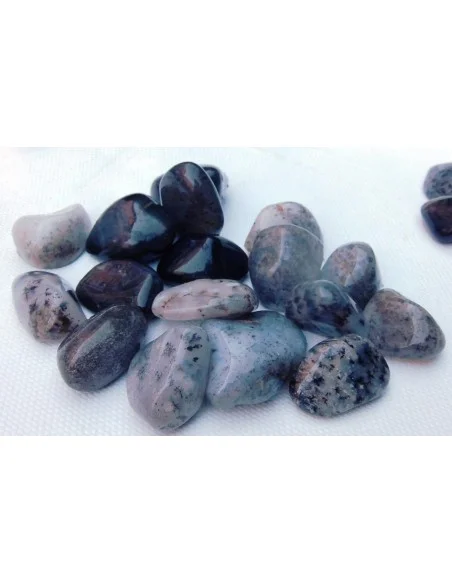 Agate dendritique polis Agate dendritique polis