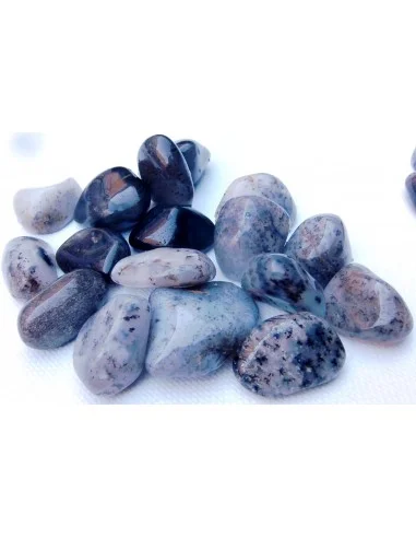 Agate dendritique polis