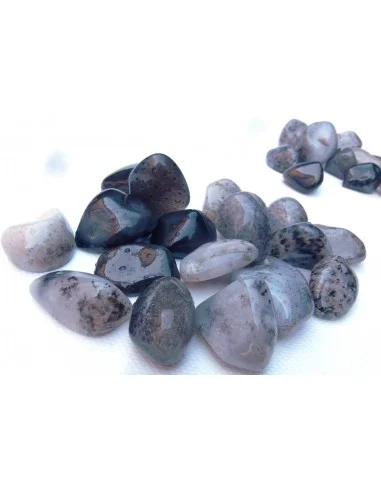 Agate dendritique polis