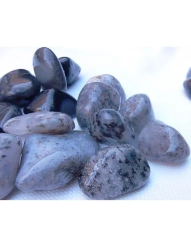Agate dendritique polis