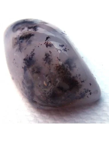 Agate dendritique polis