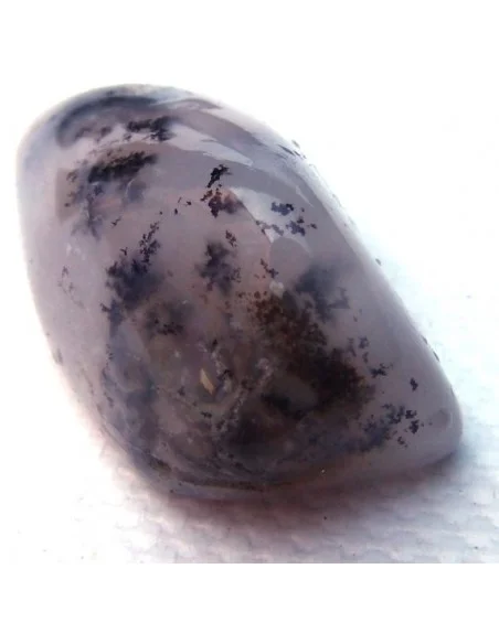 Agate dendritique polis Agate dendritique polis
