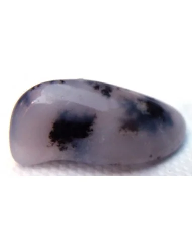 Agate dendritique polis