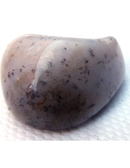 Agate dendritique polis Agate dendritique polis