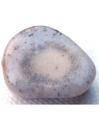 Agate dendritique polis