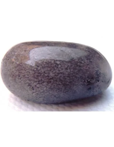 Agate dendritique polis