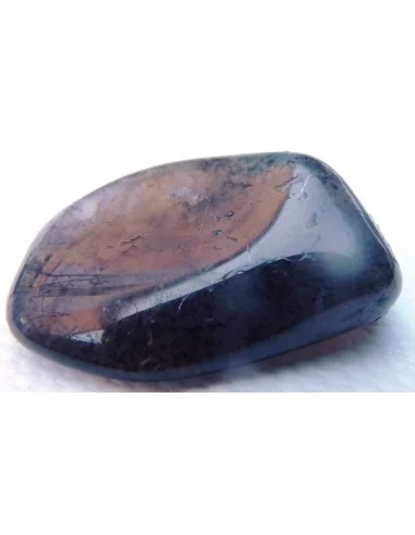 Agate dendritique polis