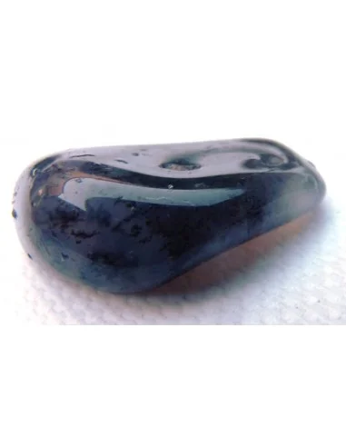 Agate dendritique polis