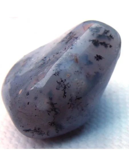 Agate dendritique polis Agate dendritique polis