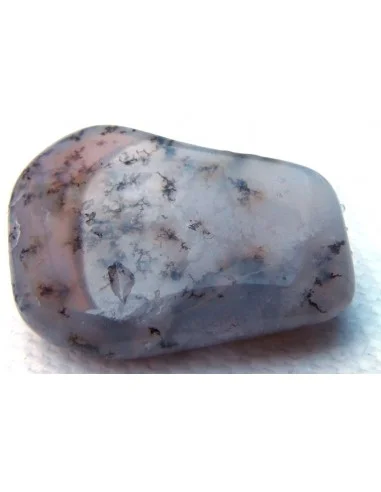 Agate dendritique polis