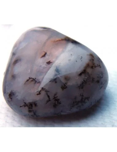 Agate dendritique polis