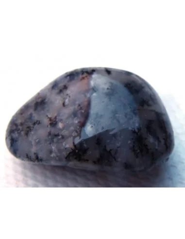 Agate dendritique polis