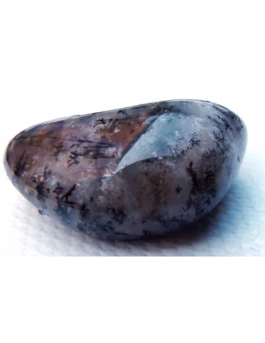 Agate dendritique polis