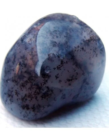 Agate dendritique polis