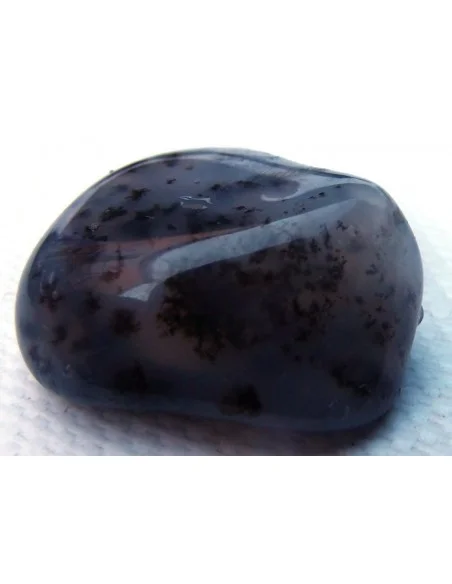 Agate dendritique polis Agate dendritique polis