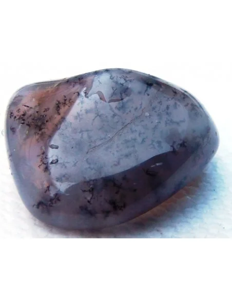 Agate dendritique polis Agate dendritique polis