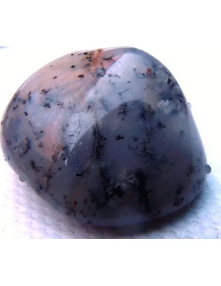 Agate dendritique polis Agate dendritique polis