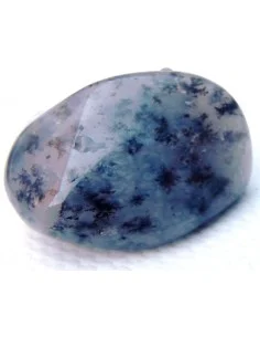 Agate dendritique polis