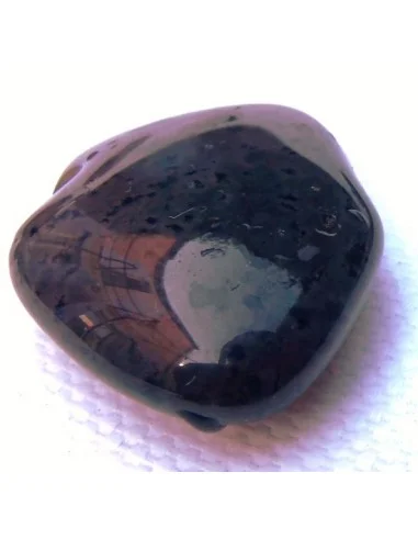 Agate dendritique polis