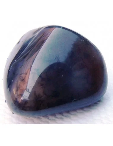 Agate dendritique polis