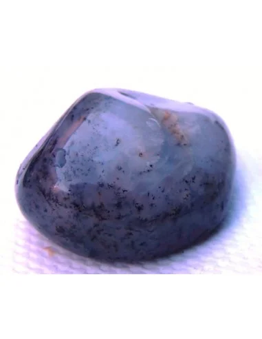 Agate dendritique polis