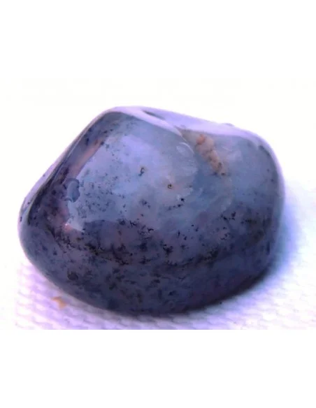 Agate dendritique polis Agate dendritique polis